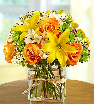 Fields of Europe™ in Rectangle Vase