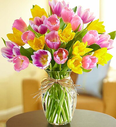Timeless Tulips®