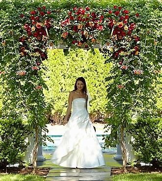 The Arbor of Love™ Archway