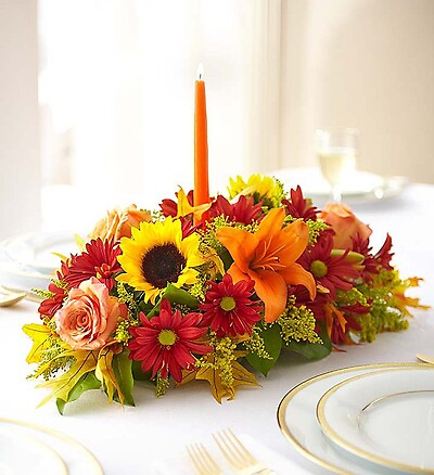 Fields of Europe™ for Fall Centerpiece