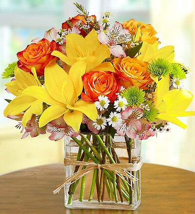 Fields of Europe™ in Rectangle Vase