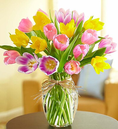 Timeless Tulips®